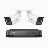 H800 - 4K 8 Kanal PoE Überwachungskamera-Set mit 2 Kameras, Farbe & IR Nachtsicht, Personen- und Fahrzeugerkennung, 96° Sichtfeld, Eingebautes Mikrofon, Unterstützt RTSP