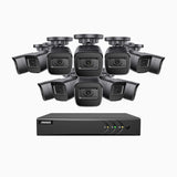 EL200 - 1080p 16 Kanal außen Kabelgebunden Überwachungskamera-Set mit 12 Kameras, intelligenter DVR mit Erkennung von Menschen & Fahrzeugen, 20 Meter Infrarot-Nachtsicht, 4-in-1-Ausgangssignal, IP67