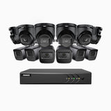 EL200 - 1080p 16 Kanal außen Kabelgebunden Überwachungskamera-Set mit 6 Bullet Kameras & 6 Turm Kameras, intelligenter DVR mit Erkennung von Menschen & Fahrzeugen, 20 Meter Infrarot-Nachtsicht, 4-in-1-Ausgangssignal, IP67