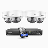 ANNKE H1200 4K 12MP 8 Kanal PoE Überwachungskamera-Set mit 4 Kameras, 2TB integrierte Festplatte, Farbe & IR Nachtsicht, Erkennung von Menschen & Fahrzeugen, H.265+, Eingebautes Mikrofon, Max. 512 GB lokaler Speicher, IP67