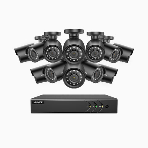 E200 - 1080P 16 Kanal außen Kabelgebunden Überwachungskamera-Set mit 12 Kameras, H.265+ Smart DVR mit Personen-und Fahrzeugerkennung, 30m Infrarot Nachtsicht