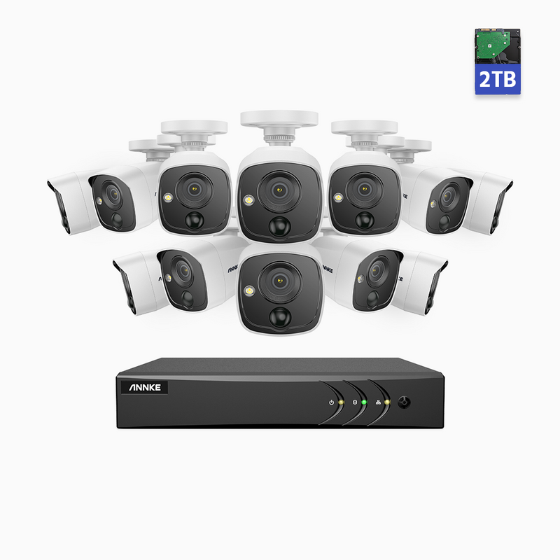E200 - 16-Kanal 1080p Full HD analoges PIR Sicherheitskamerasystem mit 12 Kameras & 2 TB HDD, H.265+ AI DVR mit Personen-und Fahrzeugerkennung